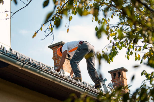 Best Commercial Roofing Services  in Redwood Falls, MN