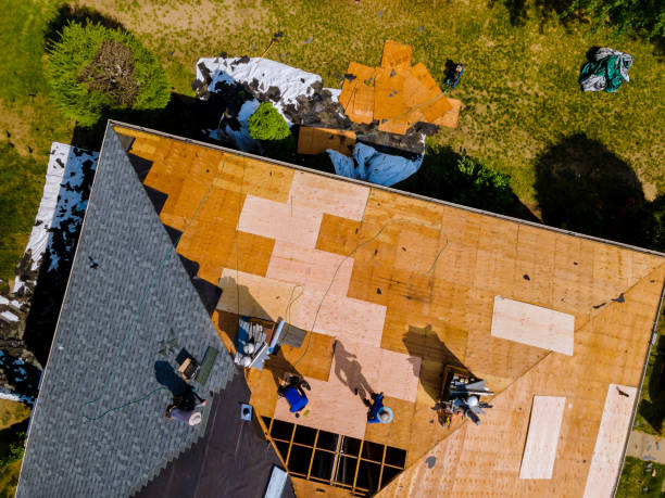 Best Roof Maintenance Services  in Redwood Falls, MN