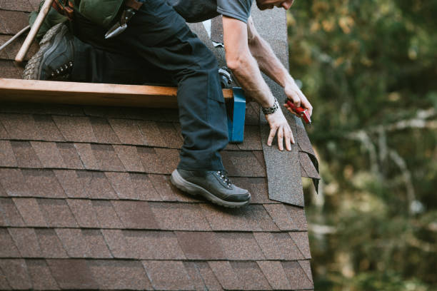 Best Roof Repair Services  in Redwood Falls, MN