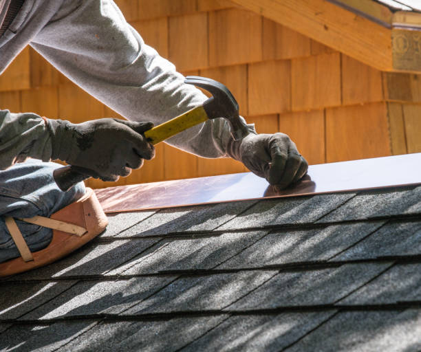 Best Roof Gutter Cleaning  in Redwood Falls, MN